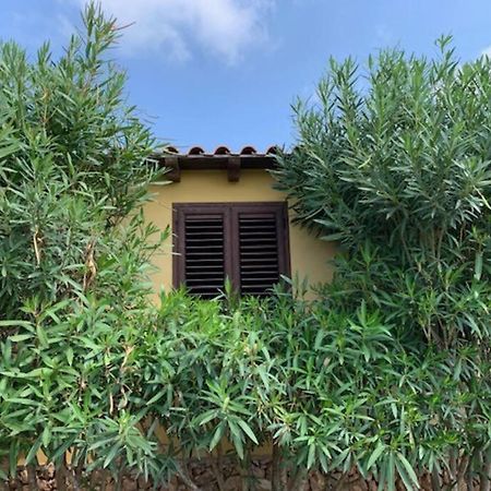 Villa Maveda, Un Dammuso Immerso Nel Verde 兰佩杜萨 外观 照片