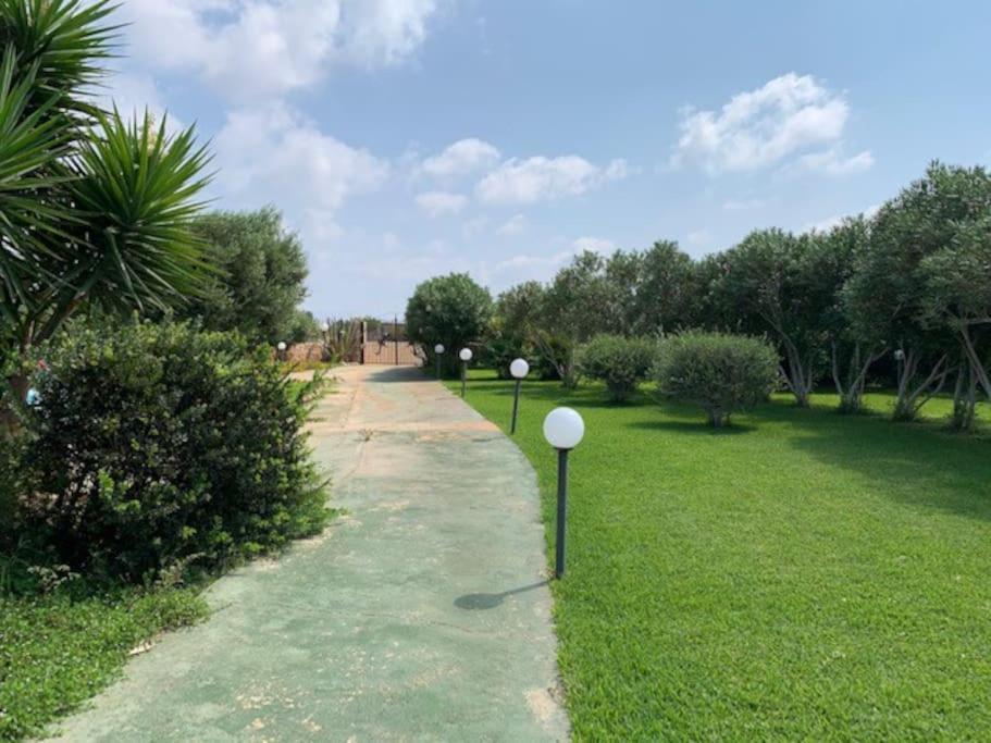 Villa Maveda, Un Dammuso Immerso Nel Verde 兰佩杜萨 外观 照片