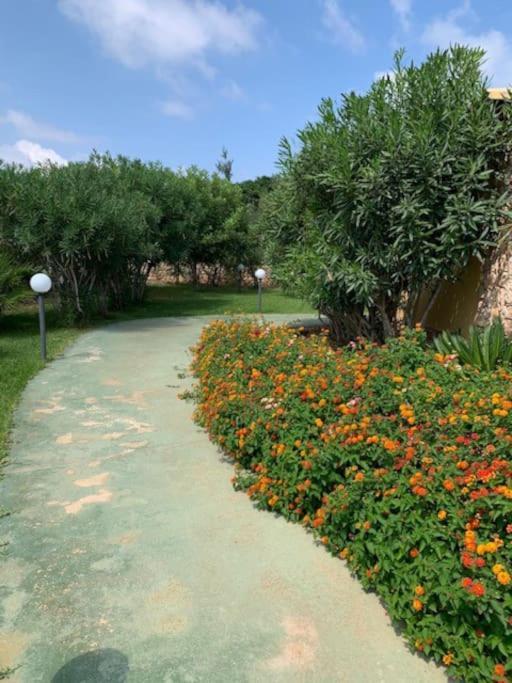 Villa Maveda, Un Dammuso Immerso Nel Verde 兰佩杜萨 外观 照片