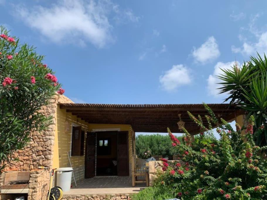 Villa Maveda, Un Dammuso Immerso Nel Verde 兰佩杜萨 外观 照片