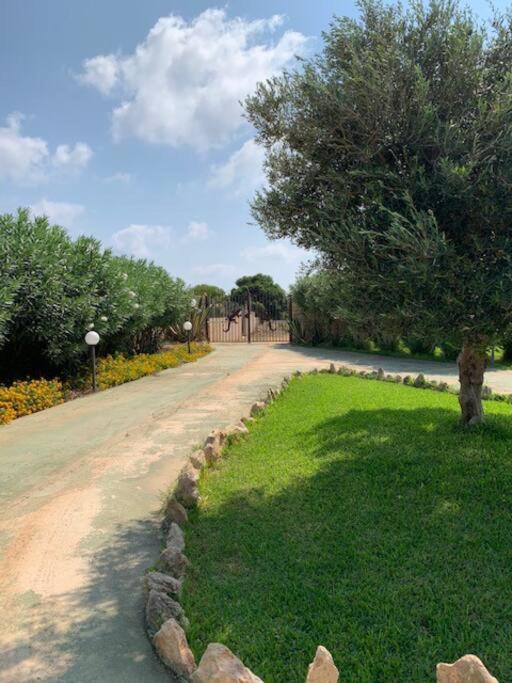 Villa Maveda, Un Dammuso Immerso Nel Verde 兰佩杜萨 外观 照片